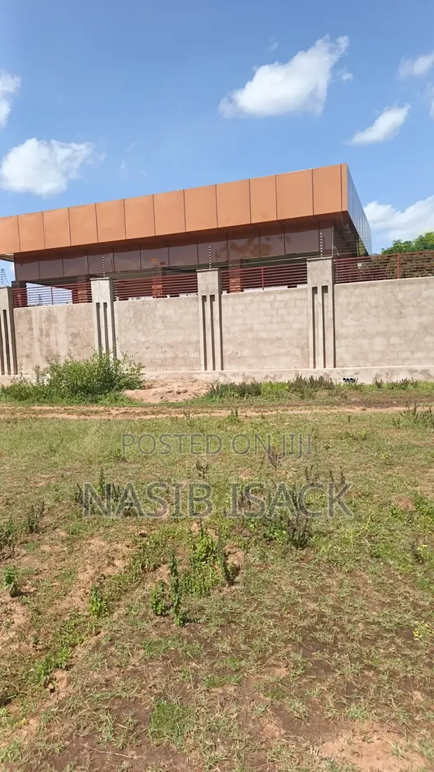 Plot for Sale in Nyamhongoro, Mwanza - 1