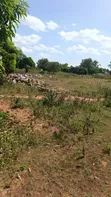 Plot for Sale in Nyamhongoro, Mwanza - 3