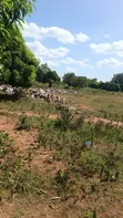 Plot for Sale in Nyamhongoro, Mwanza - 4