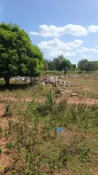 Plot for Sale in Nyamhongoro, Mwanza - 5