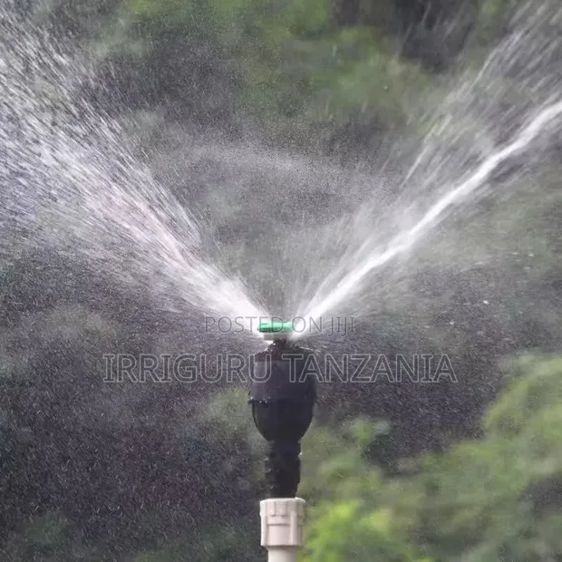 Egg Shaped Sprinkler - 1