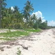 Beach Plot for Sale - Ushongo, Pangani, Tanga - 2