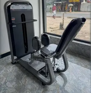 Brand New Bodygym Hip Abductor Machine