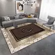 3D Carpet for Living Room - 4
