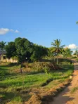 Plot for Sale - 1471 sqm, Goba Kulangwa - 2