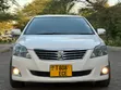 Toyota Premio 2012 White - 4