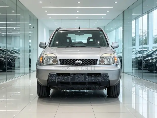 Nissan X-Trail 2012 Silver - 1
