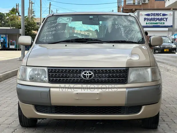 Toyota Probox 2011 Gold - 1