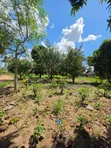 Residential Plot for Sale - Madale Mbopo (800 sqm) - 1