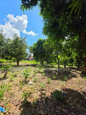 Residential Plot for Sale - Madale Mbopo (800 sqm)