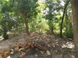 3 Bedroom Apartment for Sale in Lumina Estate, Kinondoni - 5