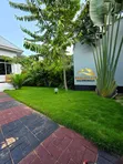 Furnished 1-Bedroom House for Rent in Rock City, Ilemela Ward - 5