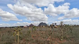 Large Plot Near UDOM, Dodoma