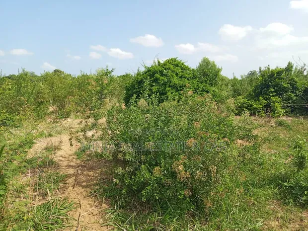 Shamba la Eka 20 kwa ajili ya Umwagiliaji Karibu na Mto Wami - 1