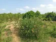 Shamba la Eka 20 kwa ajili ya Umwagiliaji Karibu na Mto Wami - 1