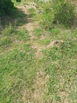Shamba la Eka 20 kwa ajili ya Umwagiliaji Karibu na Mto Wami - 5