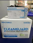 Powder Free Examination Gloves (100 pcs) - 1