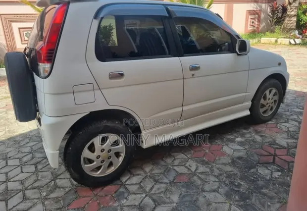 Daihatsu Terios 2010 White - 1