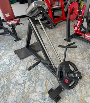Bodygym T-Bar Row Machine - Brand New
