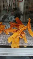 Digiwave 10-Tray Commercial Food Dehydrator - 4