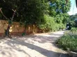 5 Bedroom House for Sale in Masaki - 5
