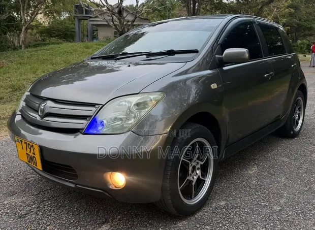 Toyota IST 2004 Gray - 1