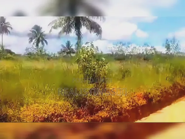 Mkuranga: Eneo la Shamba la Viwanda 11.5 Eka linauzwa - 1