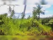 Mkuranga: Eneo la Shamba la Viwanda 11.5 Eka linauzwa - 2
