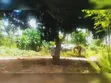 Mkuranga: Eneo la Shamba la Viwanda 11.5 Eka linauzwa - 3