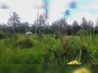 Mkuranga: Eneo la Shamba la Viwanda 11.5 Eka linauzwa - 5