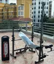 Bodygym Bench Press & 50kg Dumbbell Set - 1