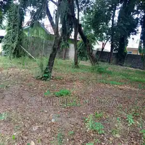 Peanut Processing Factory with Large Area, Ukonga Mazizini