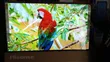 Hisense 65 Inch UHD A6 Series Smart TV - 5