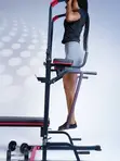 Life Fitness Pull Up Station with Bench Press - 1
