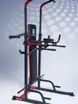 Life Fitness Pull Up Station with Bench Press - 2