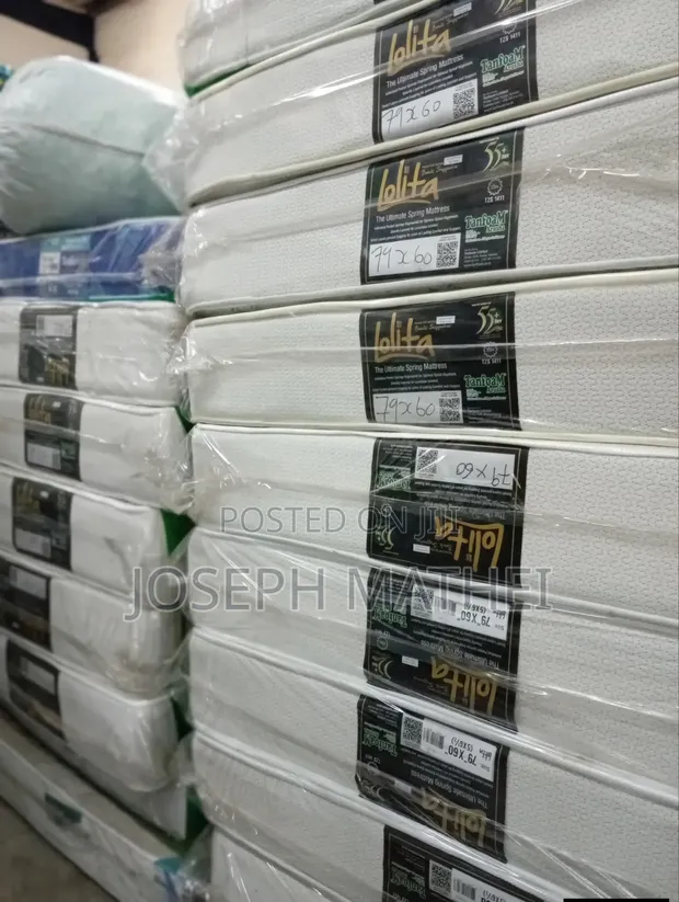 Skyline Furniture Spring Tanfoam Mattress Arusha - 1