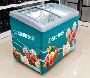 Snowsea Showcase Freezer 300L [SN368GF]