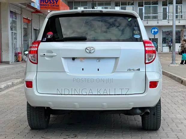 Toyota RAV4 2010 White - 1