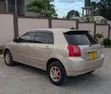 Toyota Corolla RunX 2006 Gold - 4