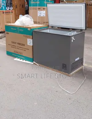 Hisense H320CFS Chest Freezer (250L) Silver - Brand New