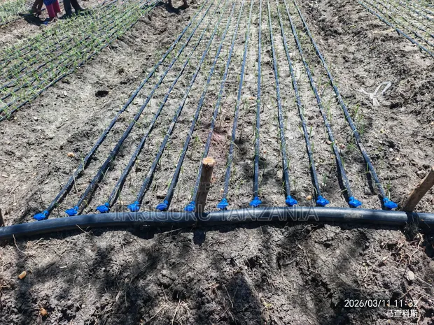Drip Tape for Irrigation - 1