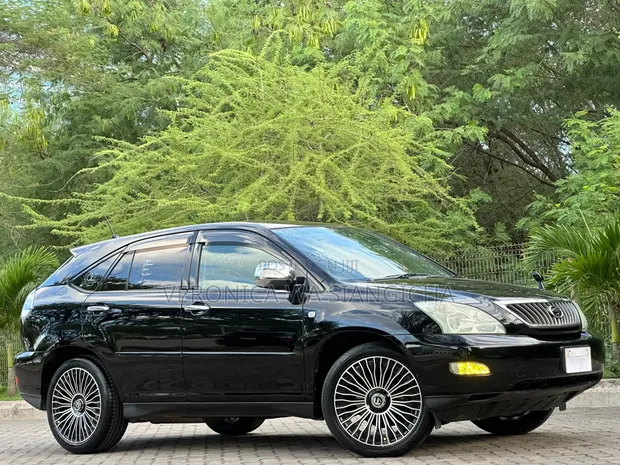 Toyota Harrier 2009 Black - 1