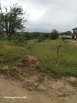 5 Acres Commercial Land for Sale, Mbezi Magufuli - 3