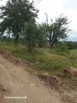 5 Acres Commercial Land for Sale, Mbezi Magufuli - 4