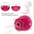 RoseAir Suction Stimulator - 5