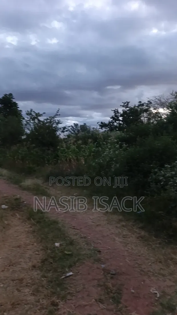Plot for Sale in Mwanza Nyamhongoro - 1
