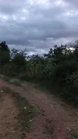 Plot for Sale in Mwanza Nyamhongoro - 1