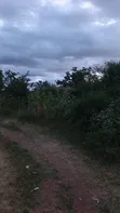 Plot for Sale in Mwanza Nyamhongoro - 3