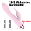 Desire Rabbit Vibrator - Dual Stimulation - 1