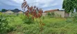 Land for Sale in Mbweni Mpiji - 2